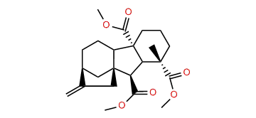 Gibberelline GA25 methyl ester